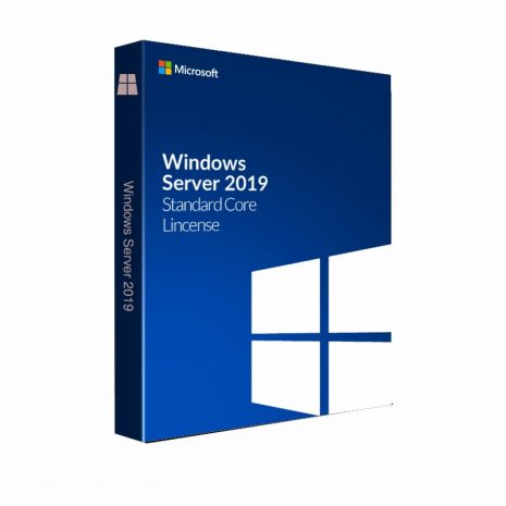 Microsoft-Windows-Svr-Std-2019-64Bit-Francais-1pk-DSP-OEI-DVD-16-Core